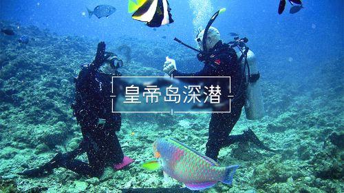 家门口有“医”靠！海南干了这件大事